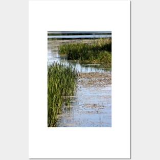 Serpentine Marsh Posters and Art